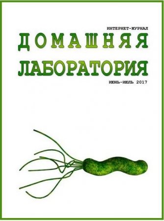 Обложка к Домашняя лаборатория №6-7 (июнь-июль 2017)