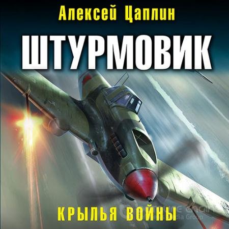 Обложка к Аудиокнига - Штурмовик. Крылья войны (2021) Цаплин Алексей